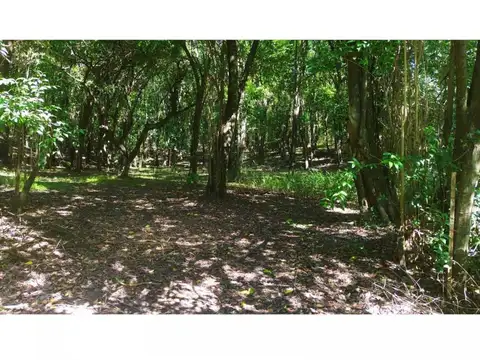 VENTA CAMPO 9.8 HECTAREAS RUTA E53 SALSIPUEDES