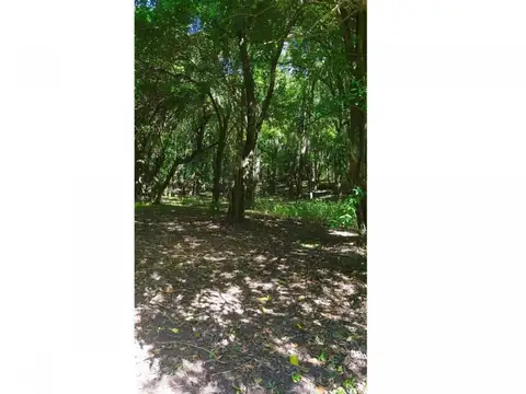 VENTA CAMPO 9.8 HECTAREAS RUTA E53 SALSIPUEDES