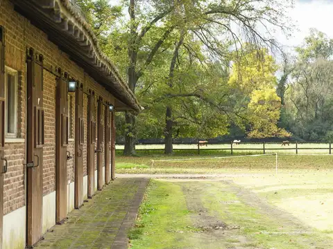 ALMAHUÈ Pilar.  Derqui al 2500