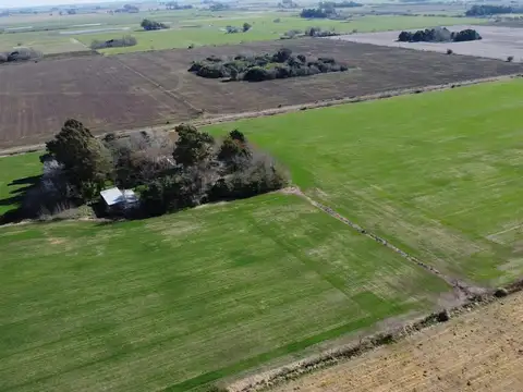Campo de 12 ha en Las Chacras
