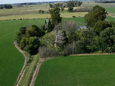 Las Chacras, Camino real