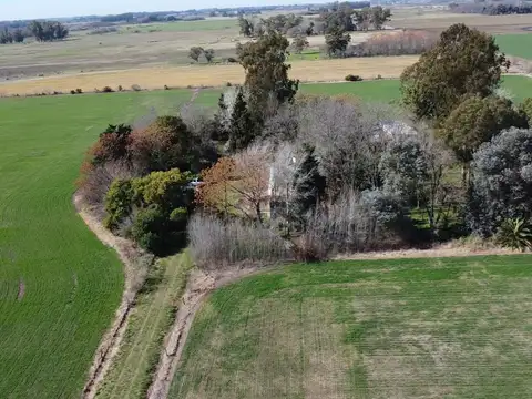 Campo de 12 ha en Las Chacras