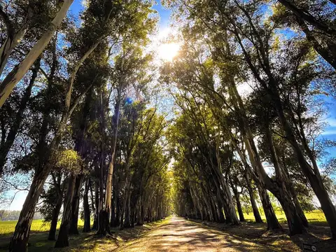 Terreno en Venta de 2000,0 m2