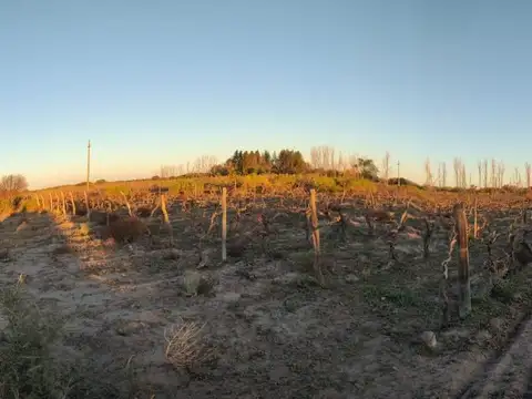 VENTA FINCA 75 Ha c/pozo - La Dormida