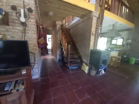 Buena Vista 100