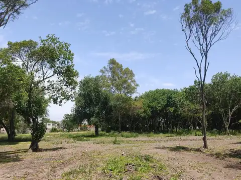 Terreno en Venta en Pablo Nogues, USD 66.000