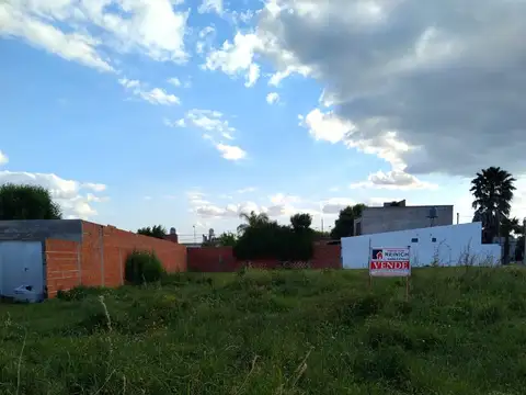 PUEYRREDON (ENTRE LAS CALLES DOLLERA Y AYACUCHO)