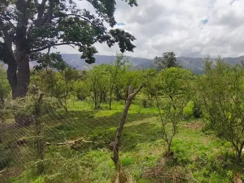 Terreno en Venta de 3360,0 m2