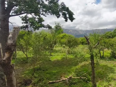 Terreno en Venta en Cerro De Oro, USD 27.000