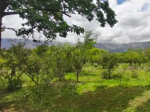 El Llantén