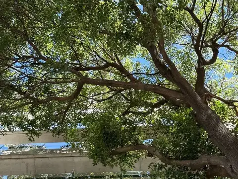 VENTA MONO FRENTE A ESTRENAR C AMENITIES EN MARTIN