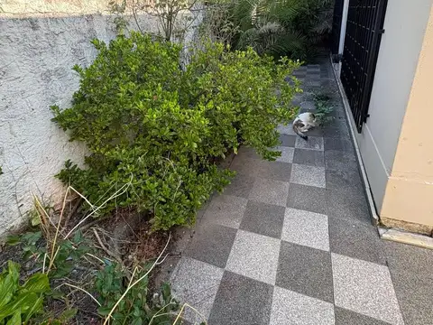 Depto Tipo Casa 4 ambientes con 1 baño