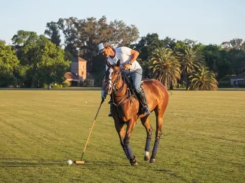 Pilara -El Tilbury 100