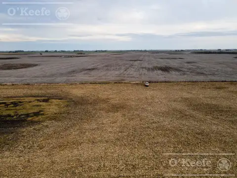 Campo en venta de 381 has en 9 de Julio