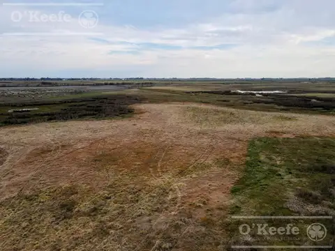 Campo en venta de 381 has en 9 de Julio