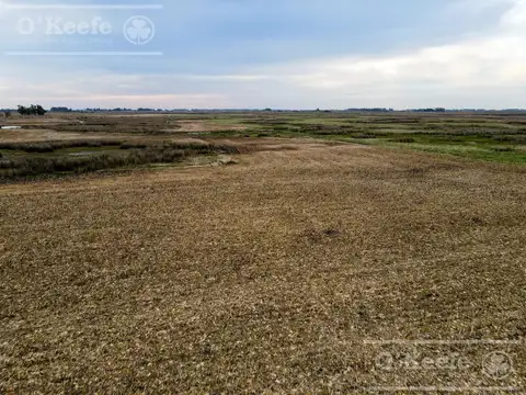 Campo en venta de 381 has en 9 de Julio