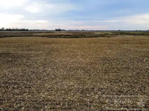 Campo en Venta en 9 de Julio, Partido de 9 de Julio