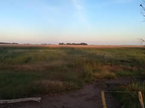 Campo en venta - 280 Hectáreas - Bolívar