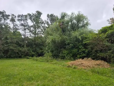 Quinta en Venta en Coronel Brandsen, USD 90.000