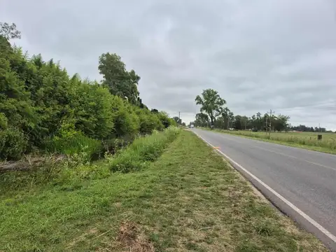 QUINTA EN VENTA EN BRANDSEN SOBRE RUTA 210