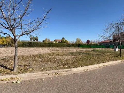 Terreno en Venta 44  mts Fondo
