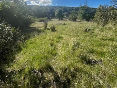 2.4 hectáreas de refugio natural en Trevelin .