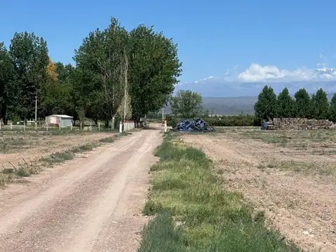 Campo en Venta Ruta 40 Mendoza - Ugarteche