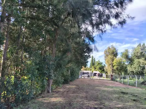 Lote, Terreno en Venta en Pilar