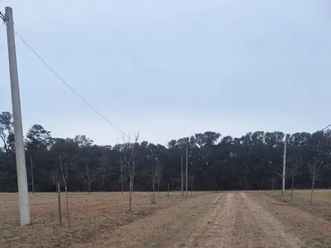 Terreno en Venta en Casilda, USD 11.900