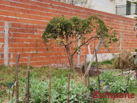 Terreno en Venta 8  mts Frente