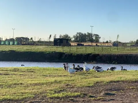 Autopista Santa Fe - Rosario 100