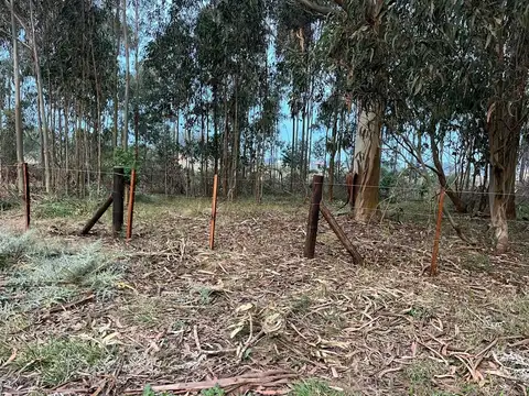 Amplio y arbolado terreno en Santa Isabel, Chapadmalal