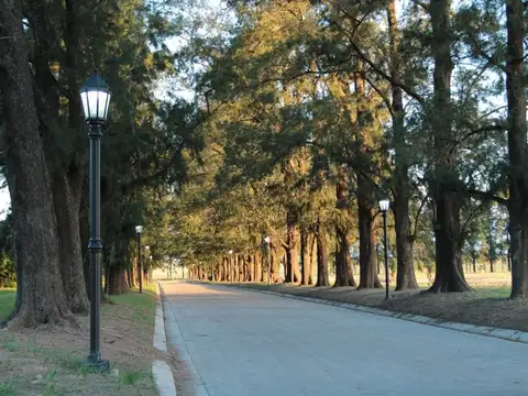 Terreno en Venta en Fighiera, USD 100.000