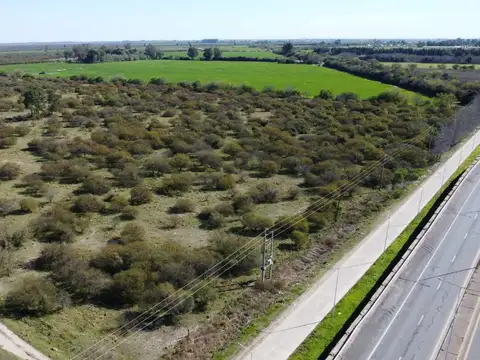 Venta 15ha. Zona industrial - Autovia 19