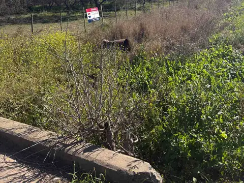 Venta 15ha. Zona industrial - Autovia 19