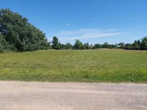 Club de Campo la Ranita