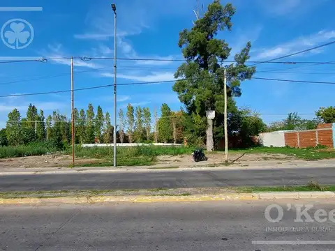 VENTA - Lote en Plátanos - Berazategui - 841m2- Frente sobre Av. Mitre - UBICACION ESTRATEGICA
