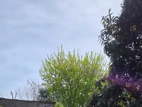 Terreno en Venta 10  mts Fondo