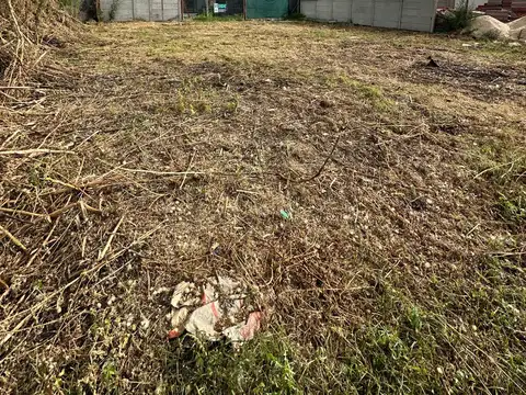 Terreno en Venta 19  mts Fondo