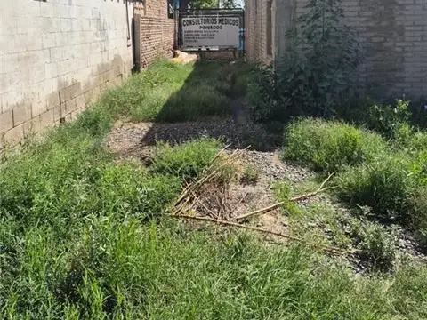 REPUBLICA DEL LIBANO Y VIDART 1900