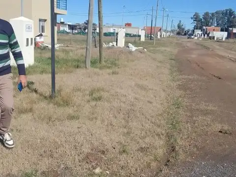 C. Camino A Navarro 500