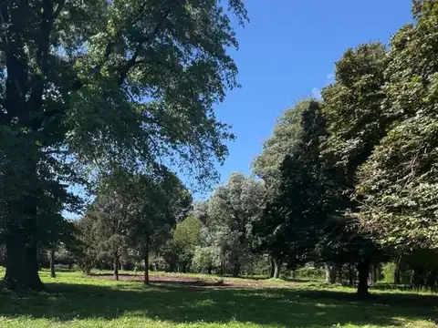 ÚLTIMOS LOTES EN VENTA EN MORENO 300/400/500 m2