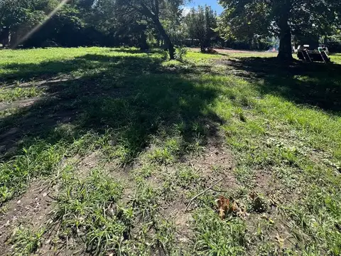 ÚLTIMOS LOTES EN VENTA EN MORENO 300/400/500 m2