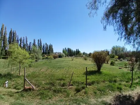 Venta Lote 1000 m2 Callejon Privado Lujan de Cuyo