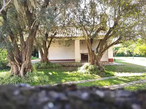 VENTA – CASA 3 AMBIENTES C/GRAN FONDO LIBRE – SUPERFICIE TOTAL DE 591 M2
