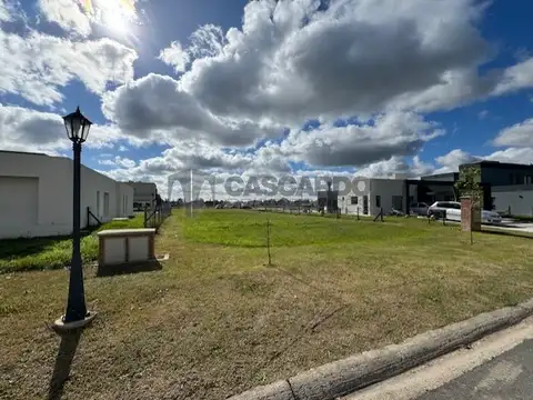 Terreno en Venta 16  mts Frente