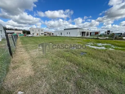 Venta lote 600 m2 en barrio San Felipe. Canning.