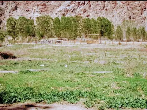 Terreno en Venta de 4850,0 m2
