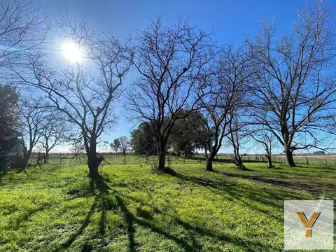 Terreno en Venta de 20000,0 m2