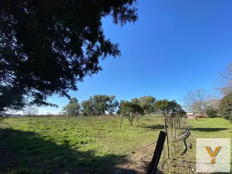 Avenida Quintana e/ 12 de Octubre y El Campo
